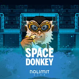 Space Donkey